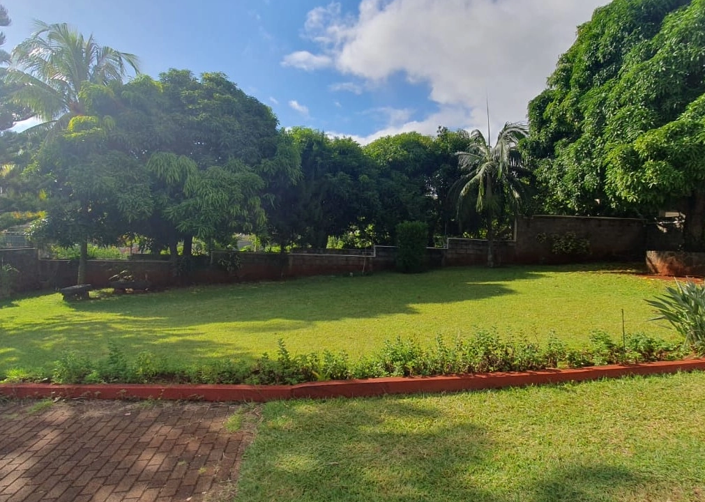 72a6d1eb-c723-44d1-ae6a-9223b22bc3c5