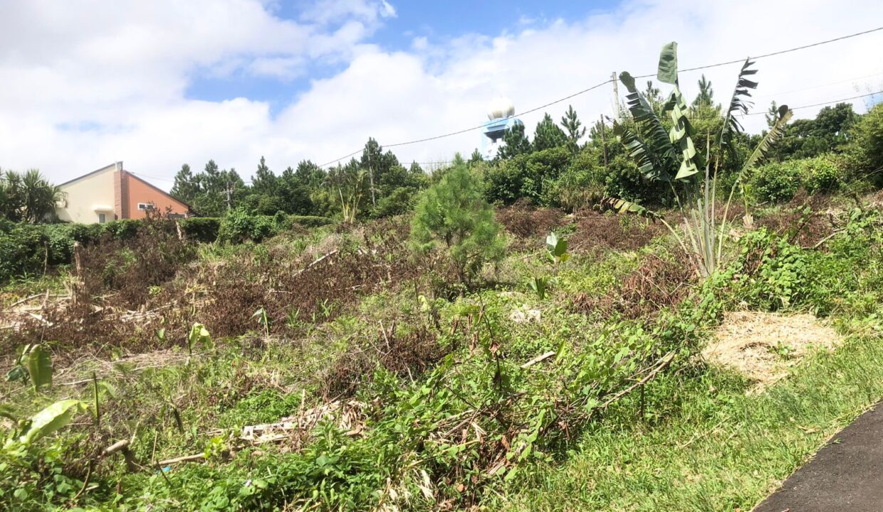 Land for Sale – Avenue de la Vignac, Trou aux Cerfs, Curepipe (2)