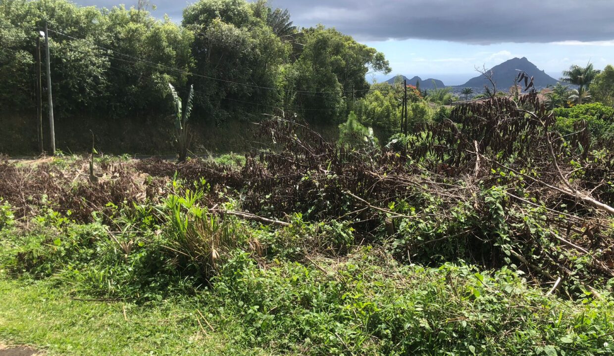 Land for Sale – Avenue de la Vignac, Trou aux Cerfs, Curepipe (3)