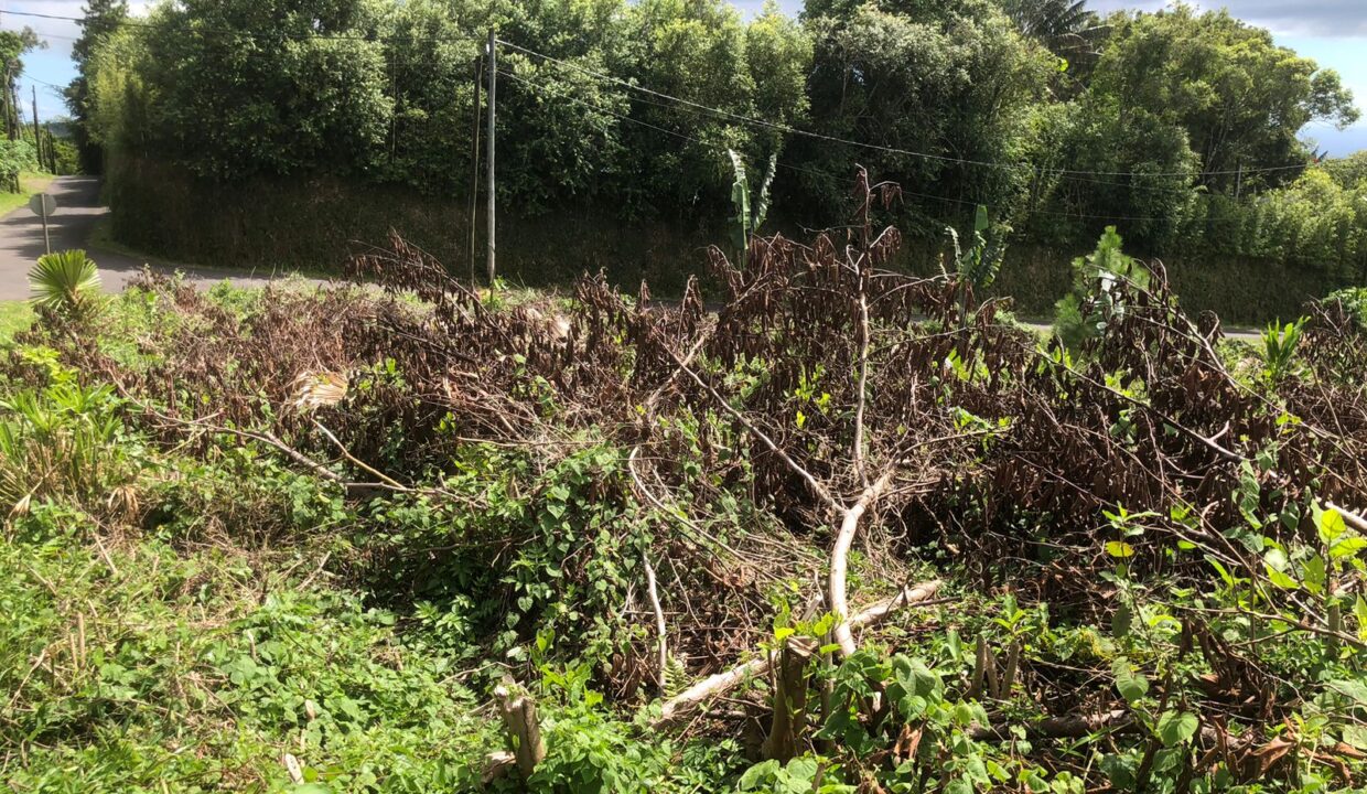 Land for Sale – Avenue de la Vignac, Trou aux Cerfs, Curepipe (4)