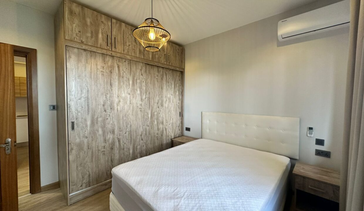 Modern 2-Bedroom Apartment Move-in Ready Sodnac For Rent (9)