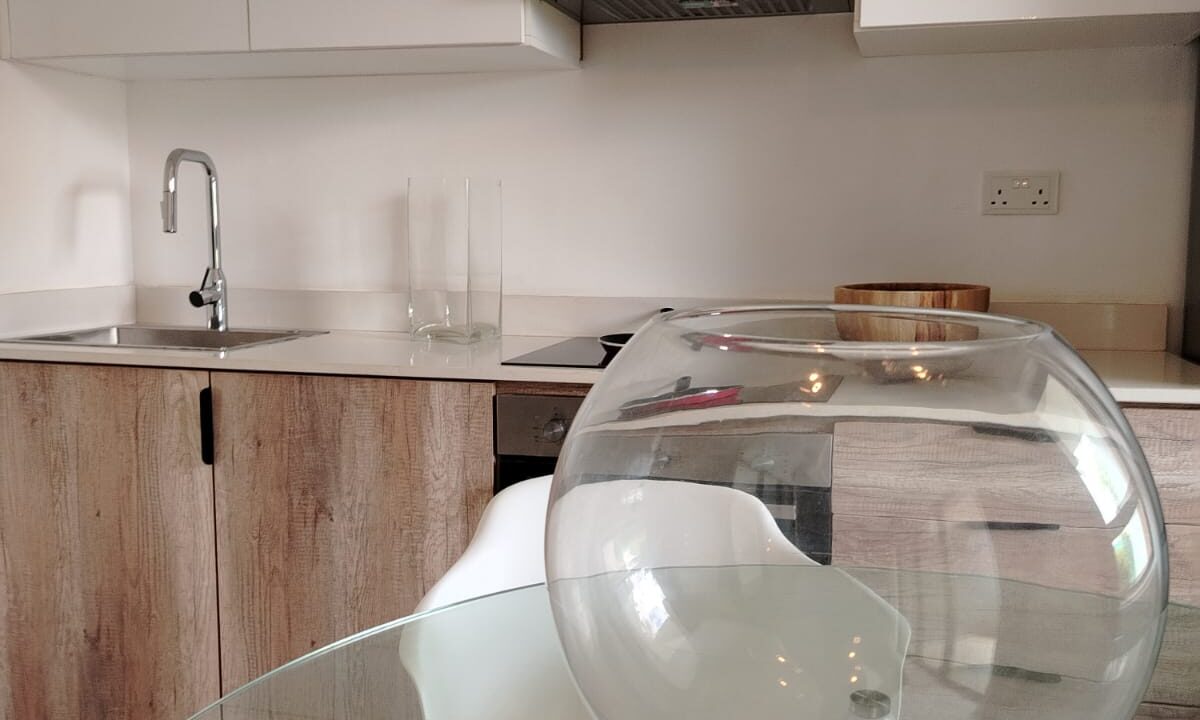 Off-Plan Apartments for Sale – Petite Rivière (3)