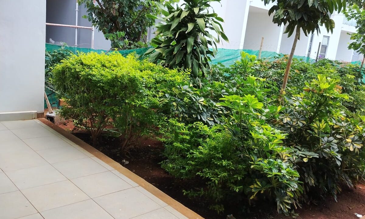 Off-Plan Apartments for Sale – Petite Rivière (4)