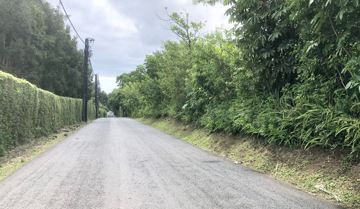 Prime Land for Sale – Corner King George V Avenue & Sir Hesketh Bell Street (3)