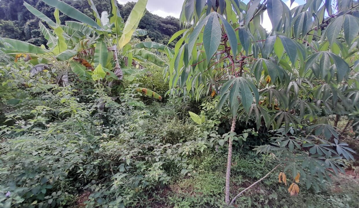 Residential Land for Sale – Montagne Longue (2)