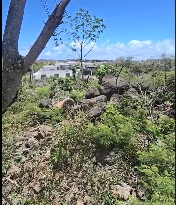 Land for Sale – Grand Baie, Chemin Vingt Pieds 47.76 Perches (2)