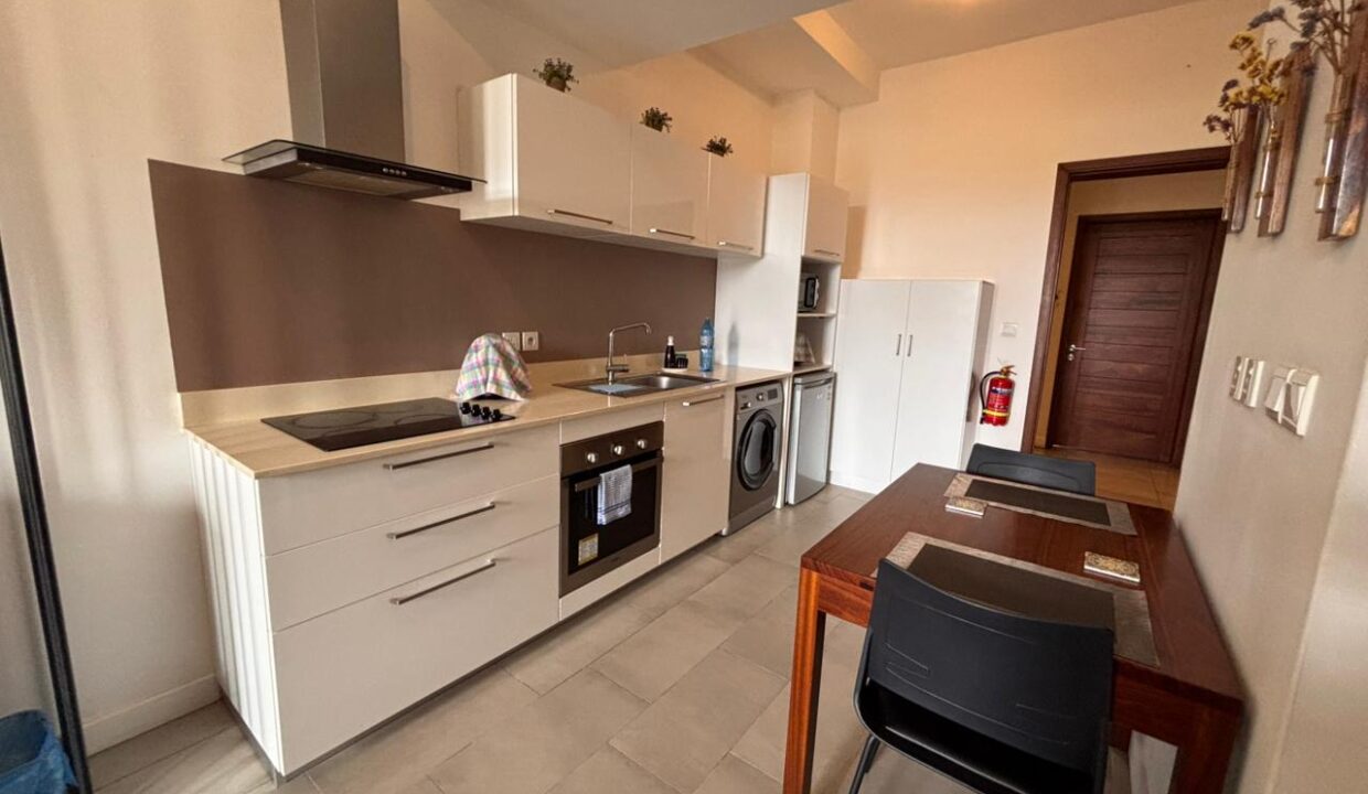 Prime Investment Opportunity – Immediate Rental Income (8)
