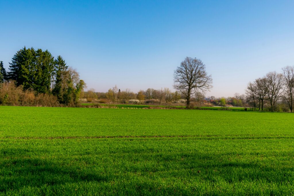 Residential Land for Sale – Tyack, Rivière des Anguilles 9.2 Perches