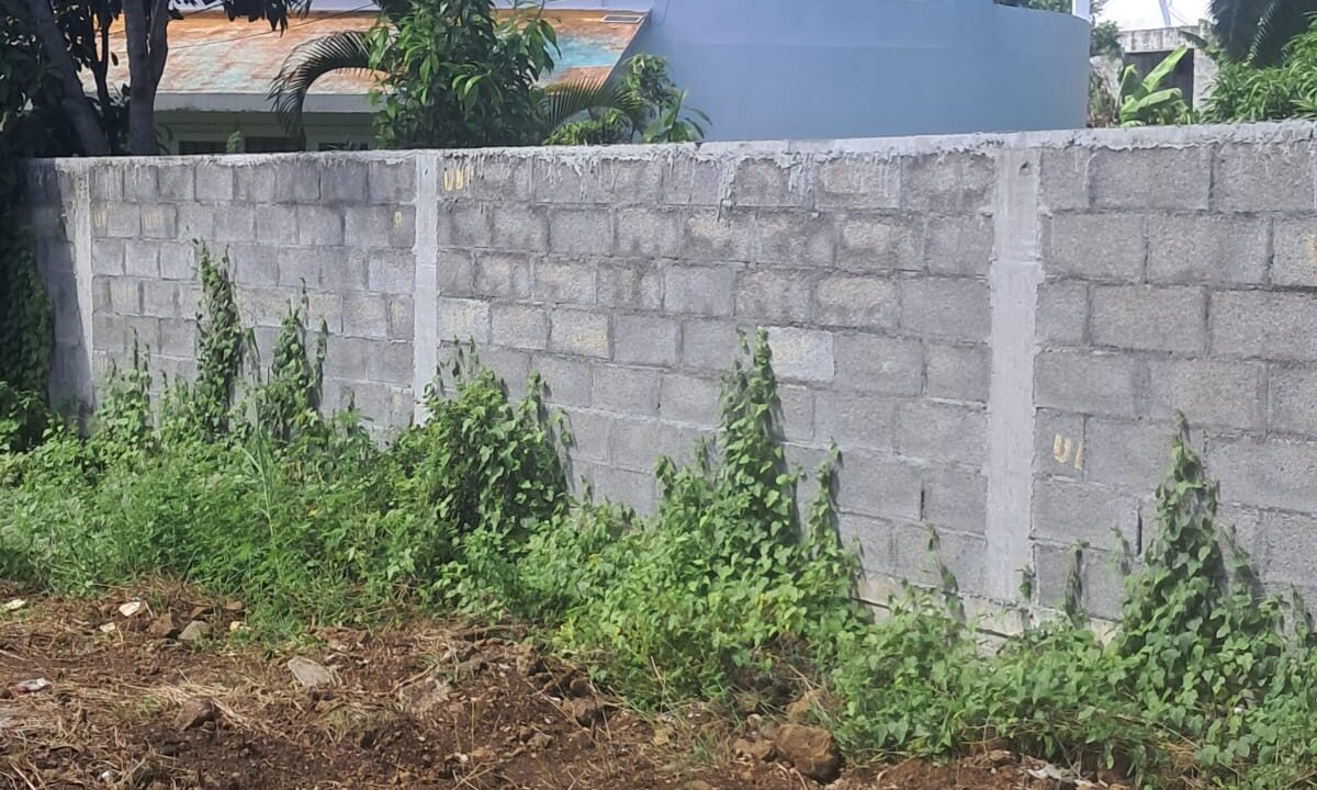 Villa with Land for Sale – Blue Bay 14 Perches