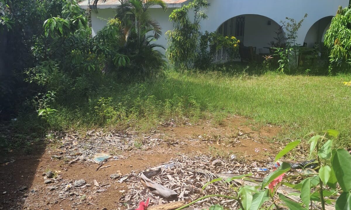 Villa with Land for Sale – Blue Bay 14 Perches (4)