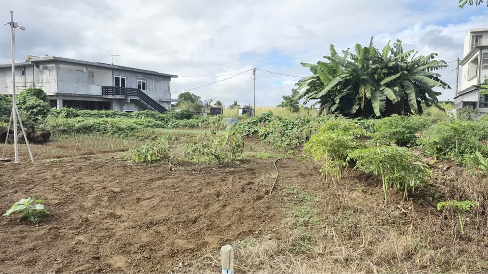 11.75 Perches Residential Land for Sale – Carreau Laliane, Phoenix (3)