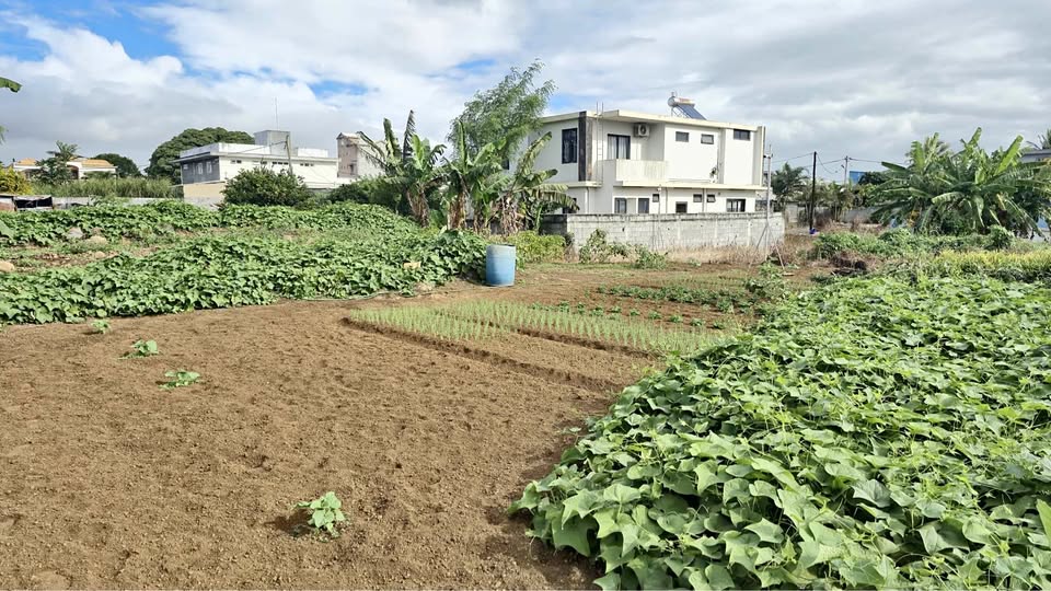 11.75 Perches Residential Land for Sale – Carreau Laliane, Phoenix