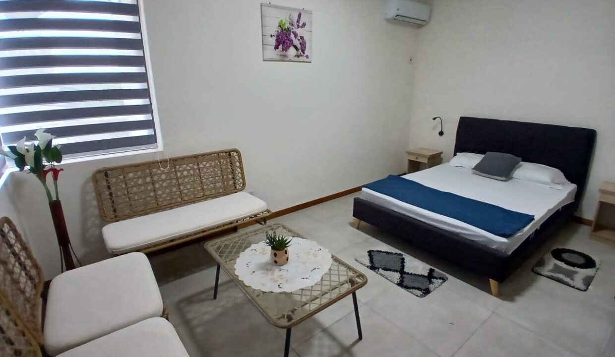 2 Bedrooms Furnished Apartment for Rent – Mont Choisy (14)