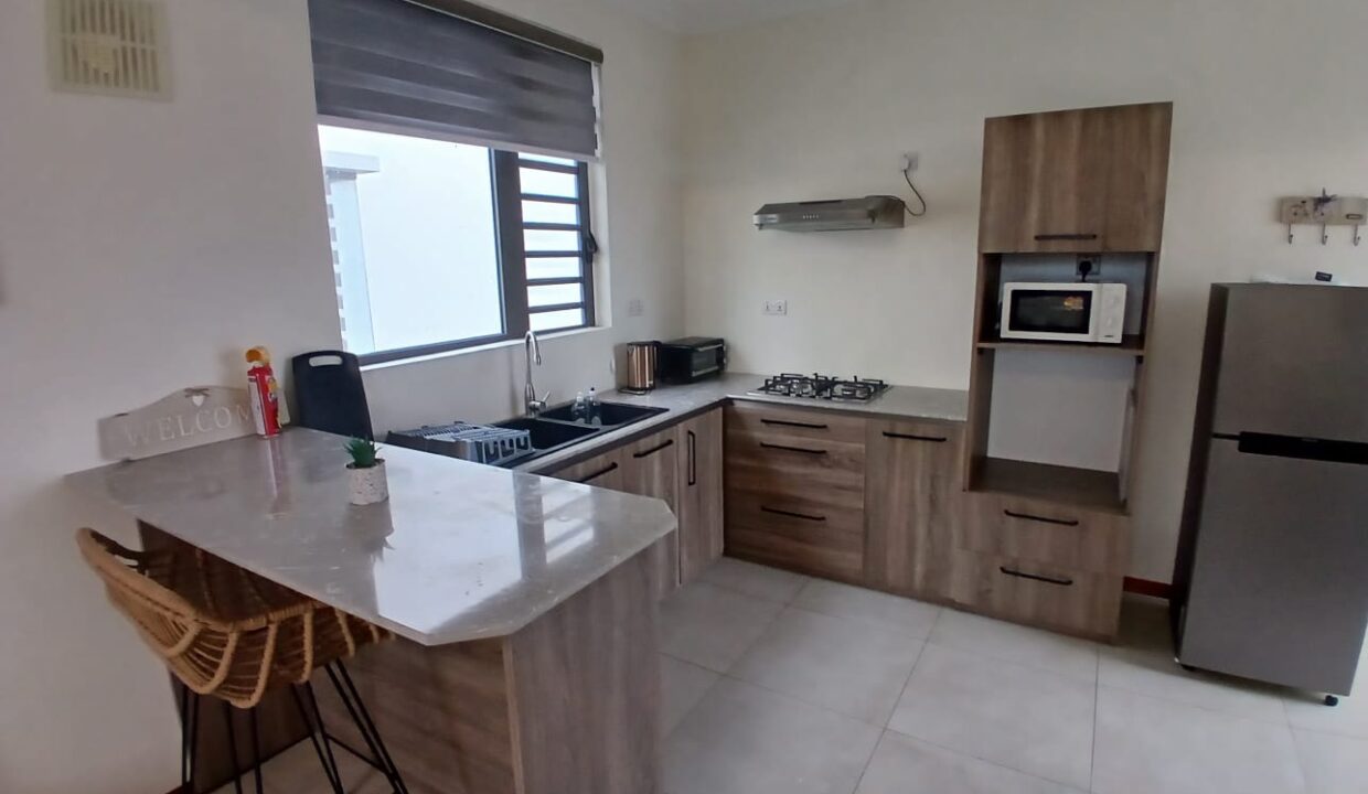 2 Bedrooms Furnished Apartment for Rent – Mont Choisy (18)
