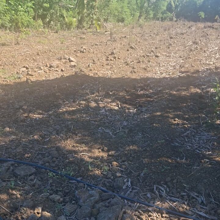 25 Perches Residential Land for Sale – Cap Malheureux (2)