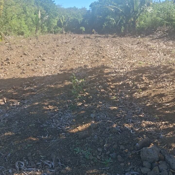 25 Perches Residential Land for Sale – Cap Malheureux (4)