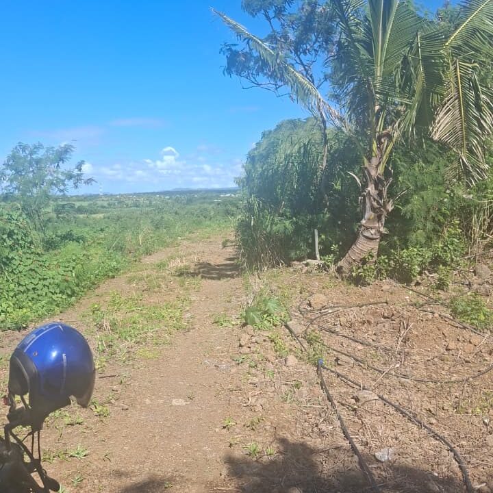 25 Perches Residential Land for Sale – Cap Malheureux (5)
