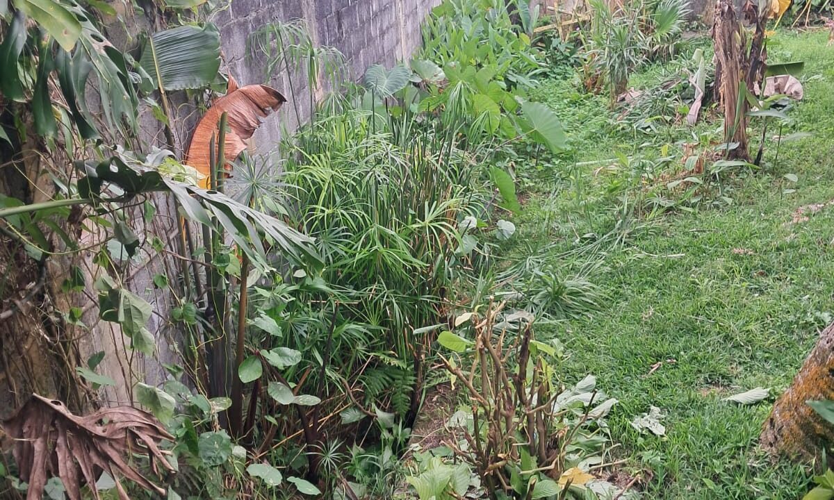 5 Bedrooms House for Sale – Curepipe (2)