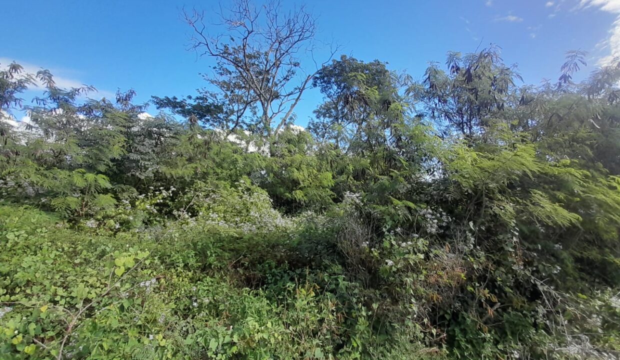 7 Perches Residential Land for Sale – Pereybere