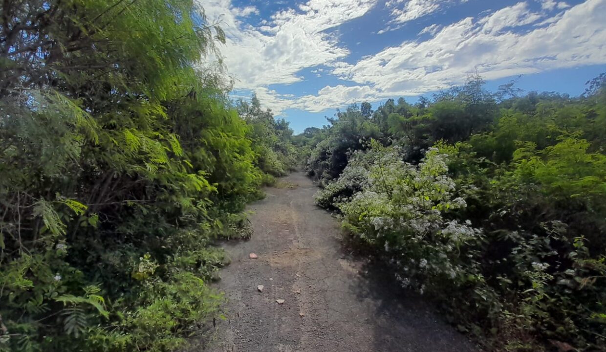 7 Perches Residential Land for Sale – Pereybere (2)