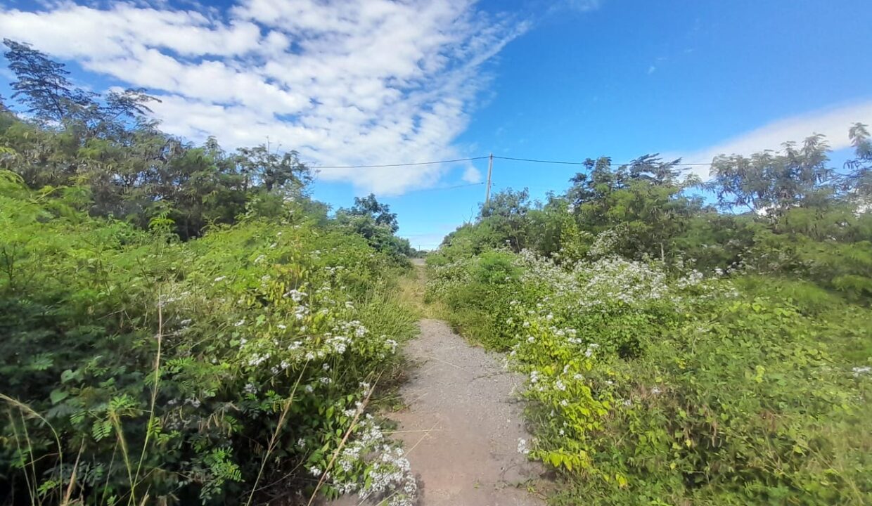 7 Perches Residential Land for Sale – Pereybere (3)