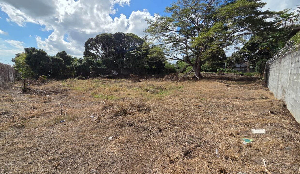 75 Perches PRIME FREEHOLD DEVELOPMENT LAND FOR SALE – QUATRE BORNES (2)