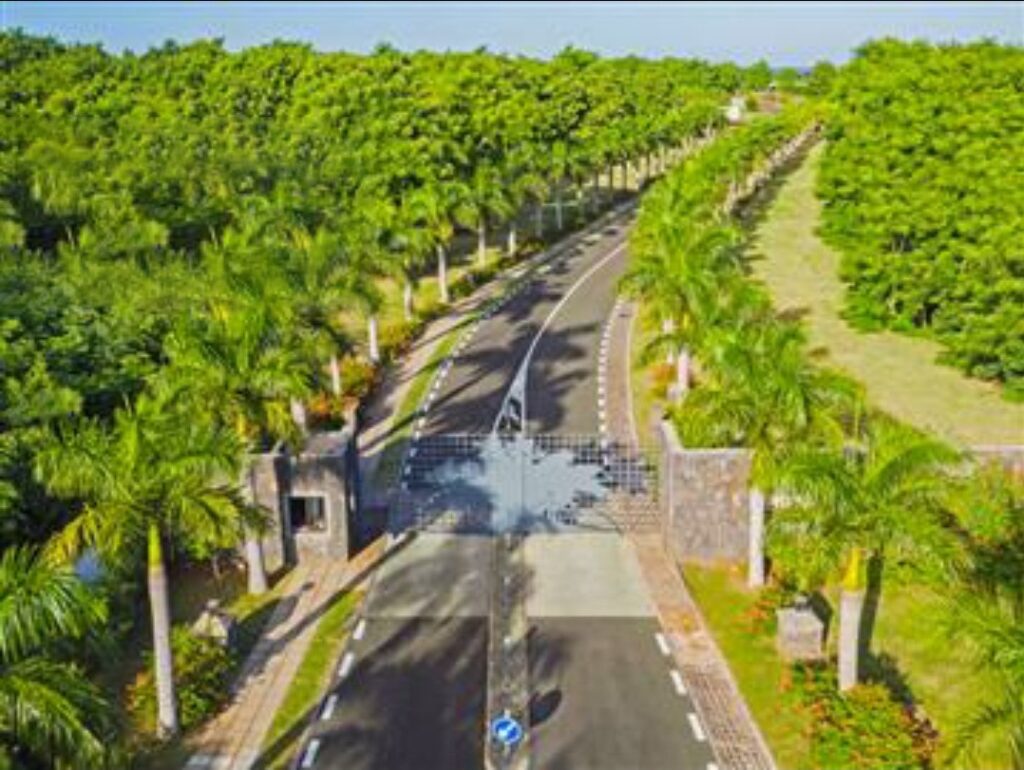 Land for Sale: Royal Park Estate, Balaclava
