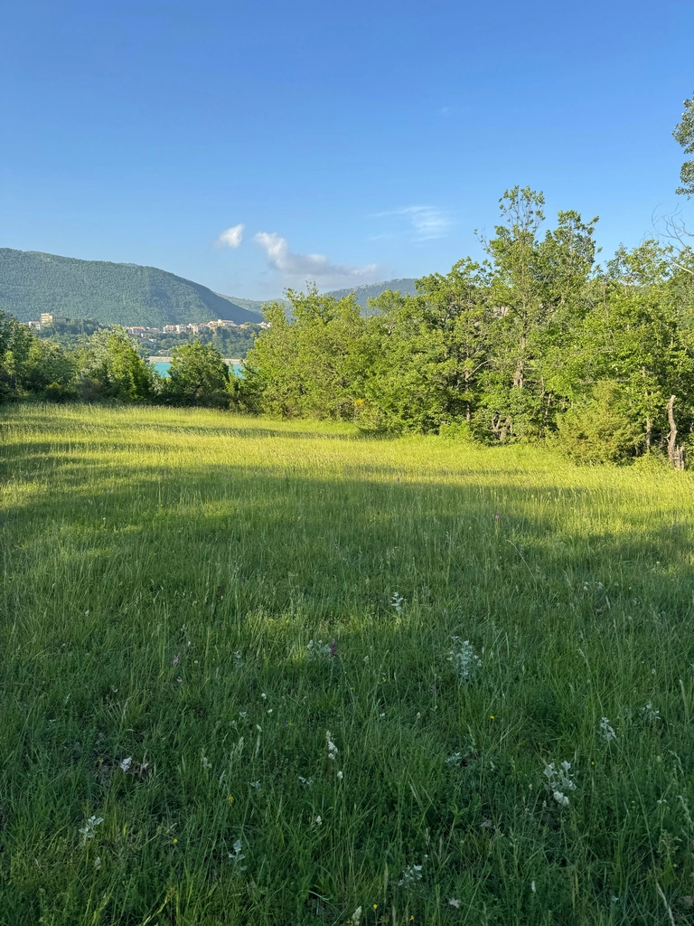 2 Plots for Sale – Royal Road, Coromandel 