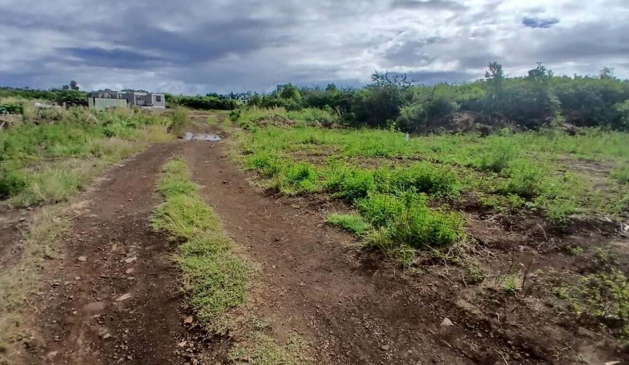 27 Perches Residential Land for Sale – Pereybere