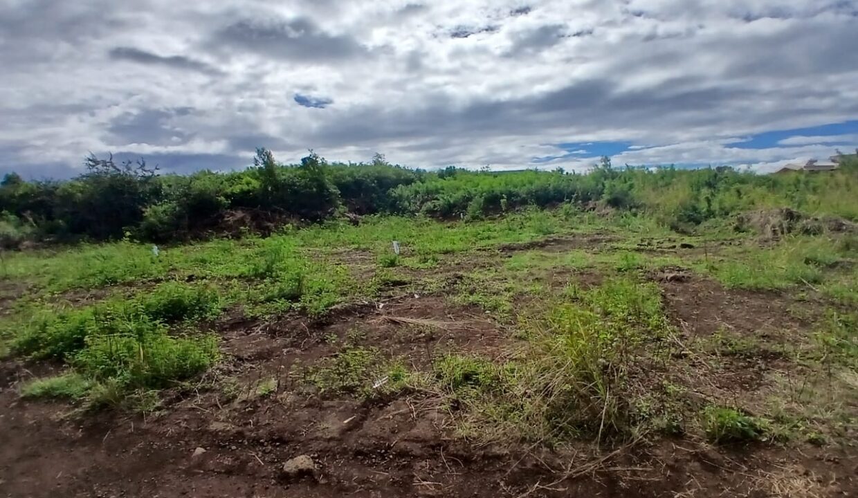 27 Perches Residential Land for Sale – Pereybere (3)